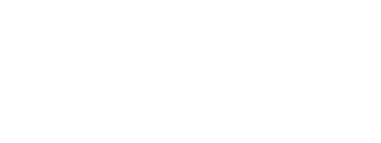 Wordmark SLIDE blanc